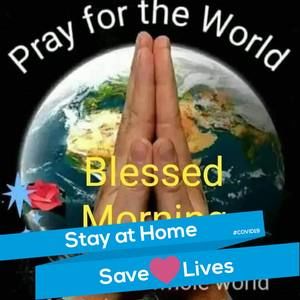 Meet your Posher, Frances